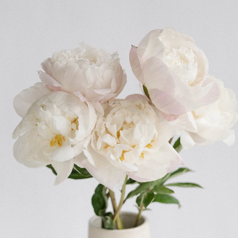 Cheddar Cheese Peony Vase - Image