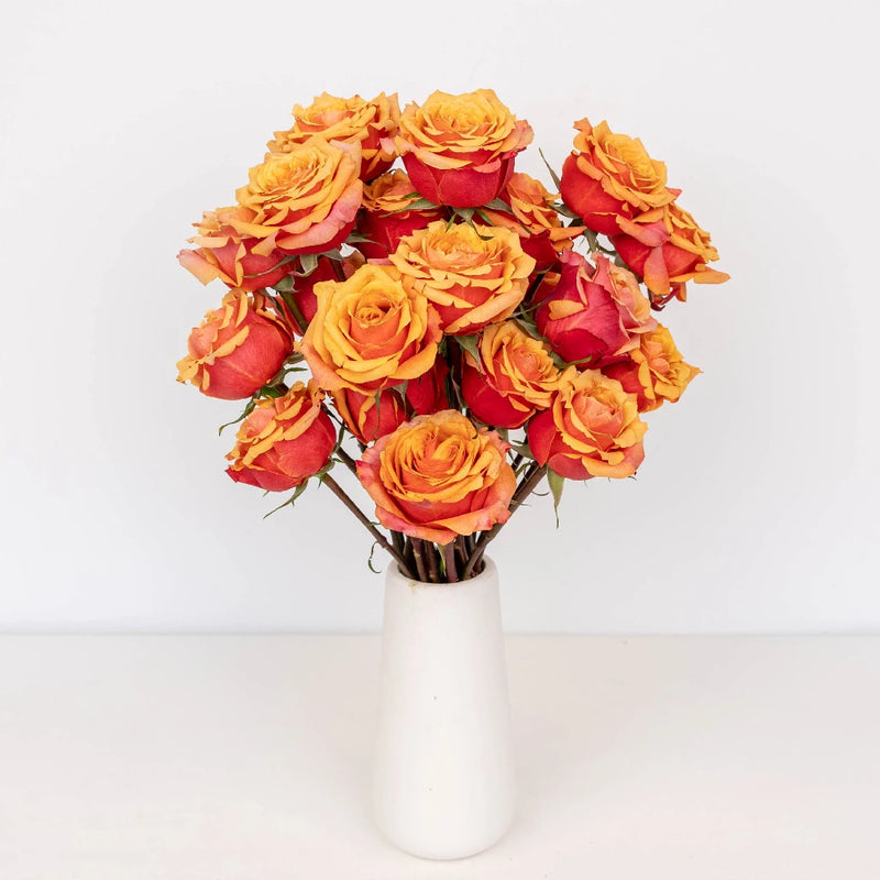 Cherry Brandy Sunkissed Rose Vase - Image