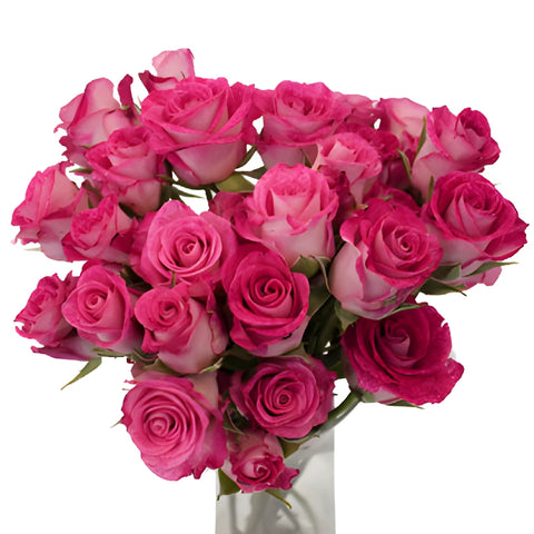Cherry Follies Hot Pink Spray Wholesale Roses In a vase