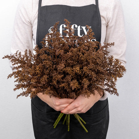 Chocolate Tinted Solidago Flowers Apron - Image