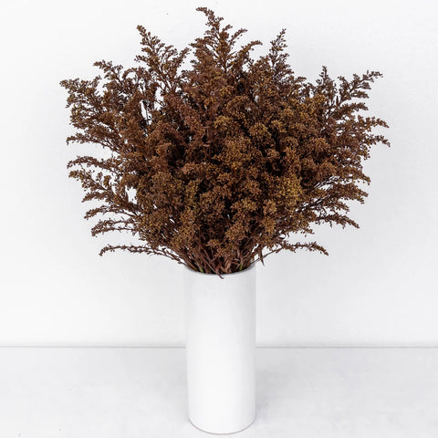 Chocolate Tinted Solidago Flowers Vase - Image