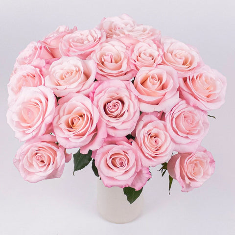 Cielo Light Pink Roses in Vase
