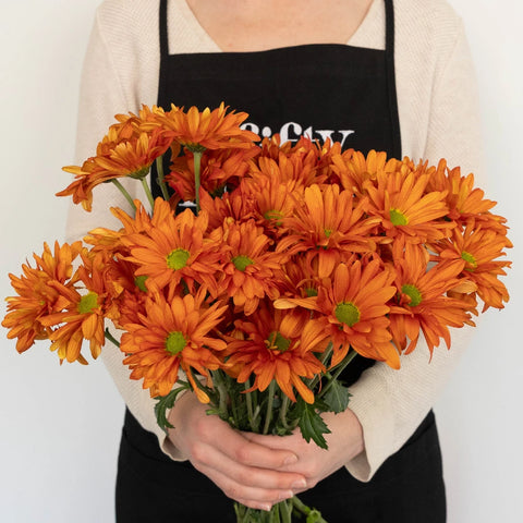 Cinnabar Daisy Flower Apron - Image