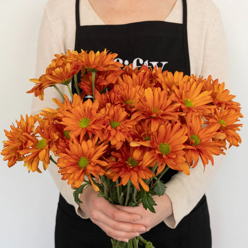 Cinnabar Daisy Flower Apron - Image