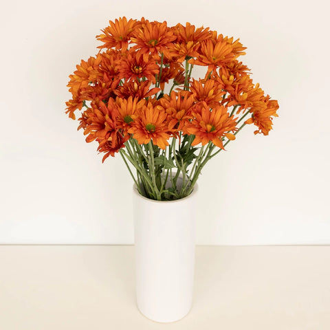 Cinnabar Daisy Flower Vase - Image