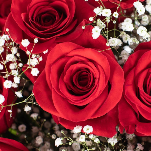 Classic Rose Arrangement For Mothers Day Close Up - Image