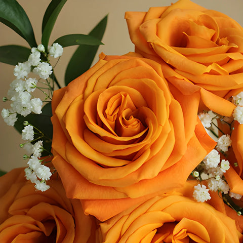 Dozen Rose Bouquet for Fundraising
