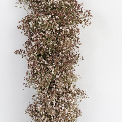 Coffee Toffee Baby's Breath Tinted Garland Hand - Image