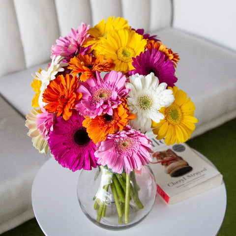 Mothers Day Gerber Daisy Flowers