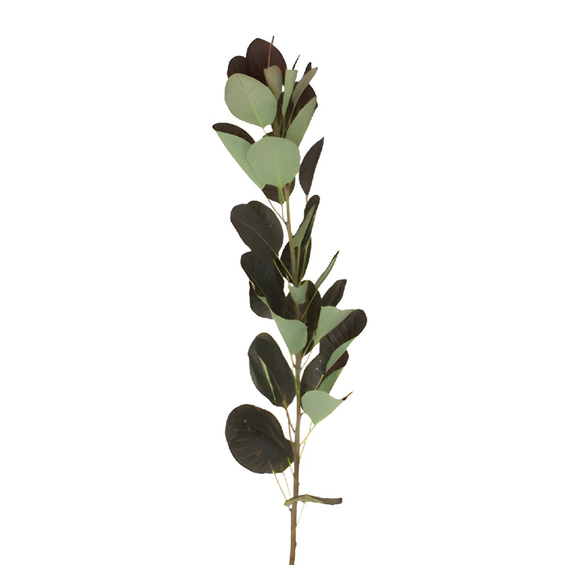 Cotinus Smoke Bush Wholesale Greenery Leaves
