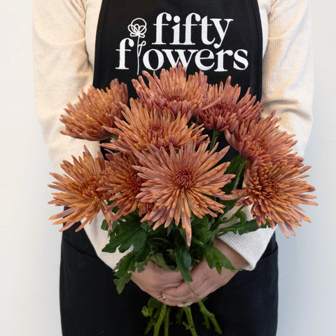 Copper Bronze Spider Mum Apron - Image