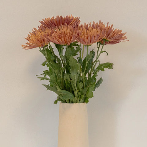Copper Bronze Spider Mum Vase - Image