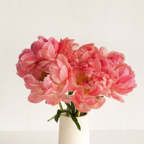 Coral Charm Vase - Image