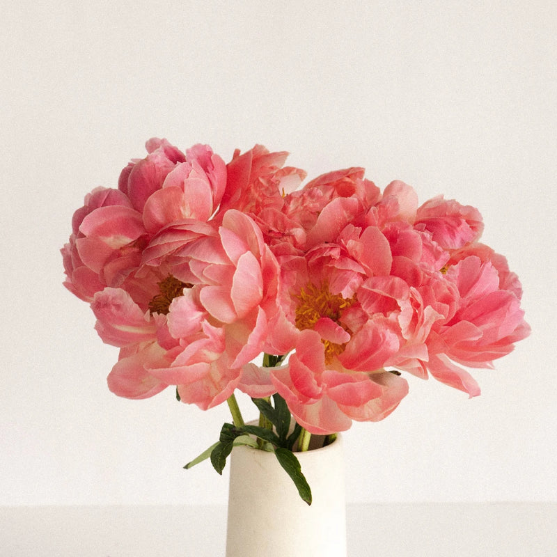Coral Charm Vase - Image