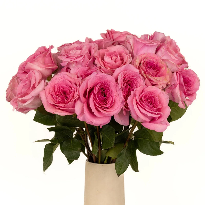 Coral Quartz Bulk Garden Rose Vase - Image