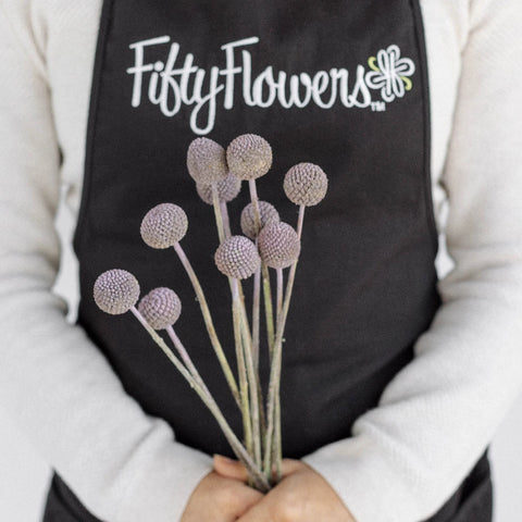 Craspedia Billy Balls Silver Apron - Image