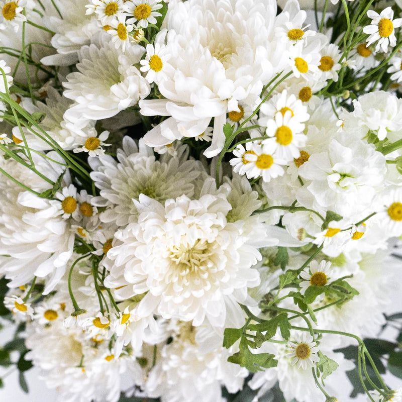 Crazy About You Flower Combo Kit Close Up - Image