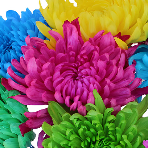Farm Mix Enhanced Cremon Flower