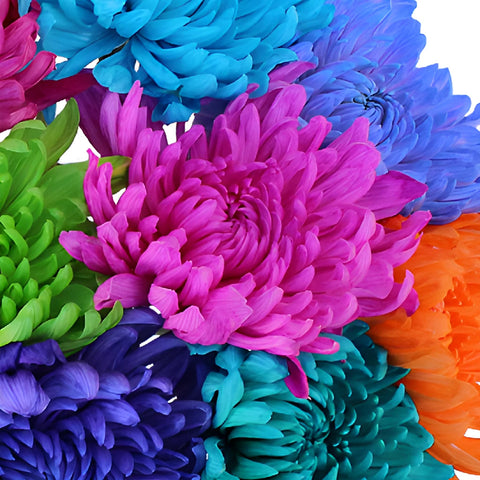 Farm Mix Enhanced Cremon Flower