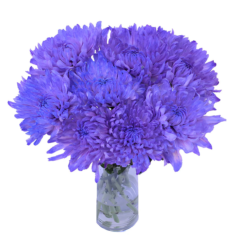 Purple Pastels Wedding Cremon Mum