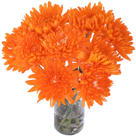 Orange You Glad Bulk Cremon Flowers