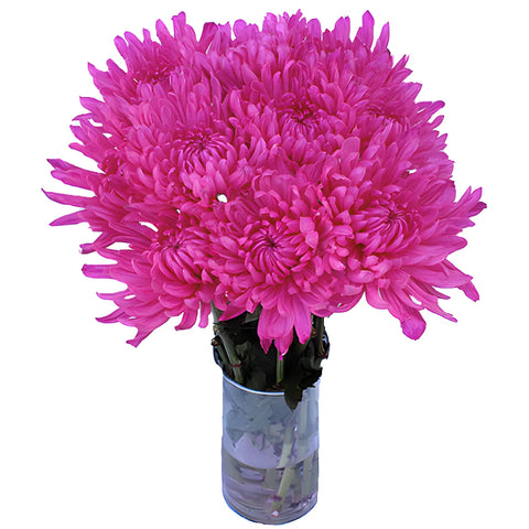 Electric Pink Wedding Cremon Mum