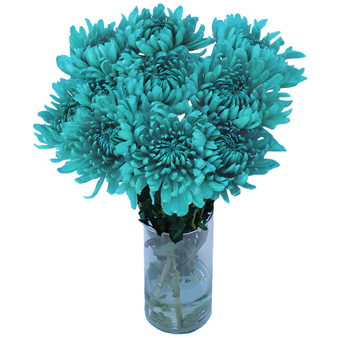 Turquoise Wedding Cremon Mum