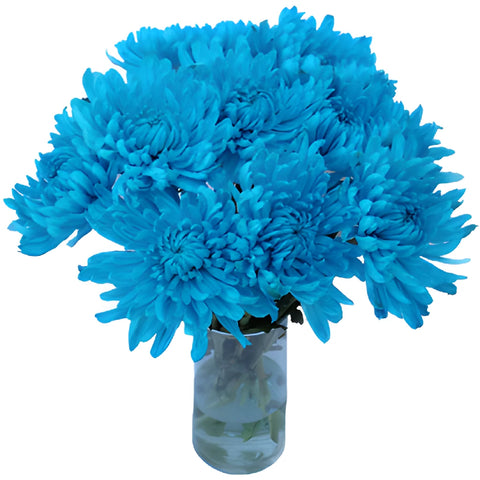 Electric Blue Wedding Cremon Mum