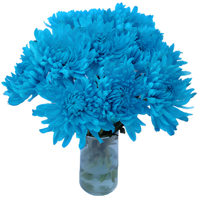 Electric Blue Wedding Cremon Mum