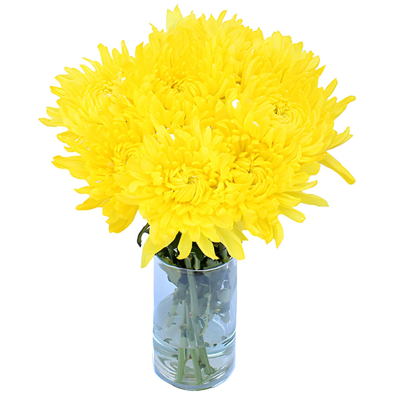 True Yellow Enhanced Cremon Mum Wedding Flower