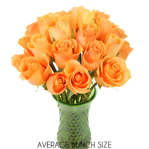 Peach Sweetheart Roses