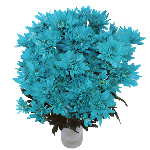 Turquoise Blue Enhanced Flowers