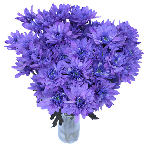 Indigo Violet Enhanced Flower