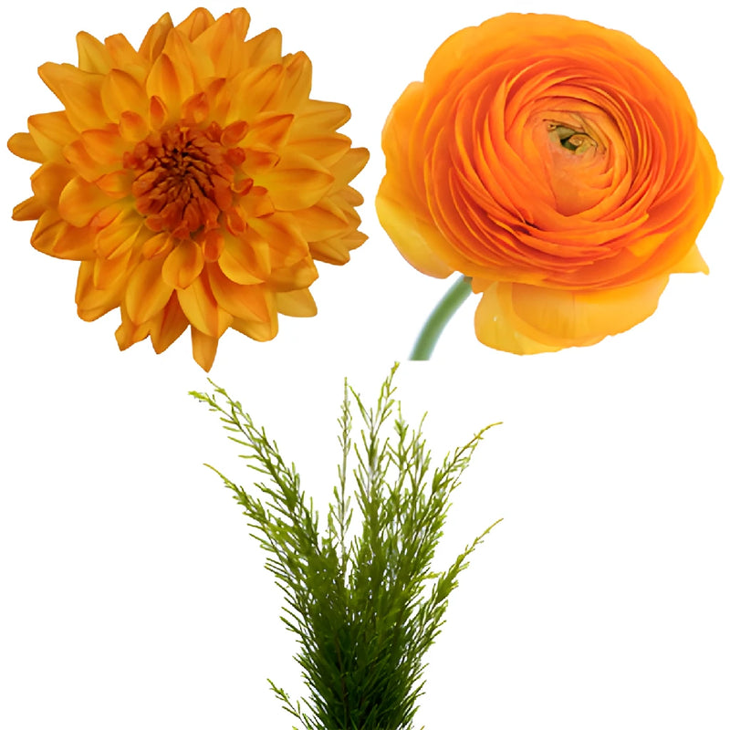 Dahlia and Ranunculus Orange DIY Flower Kit Bunch