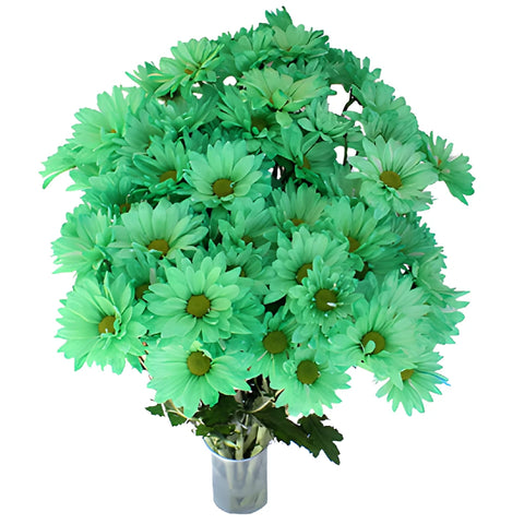 Mint Green Daisy Flower Enhanced