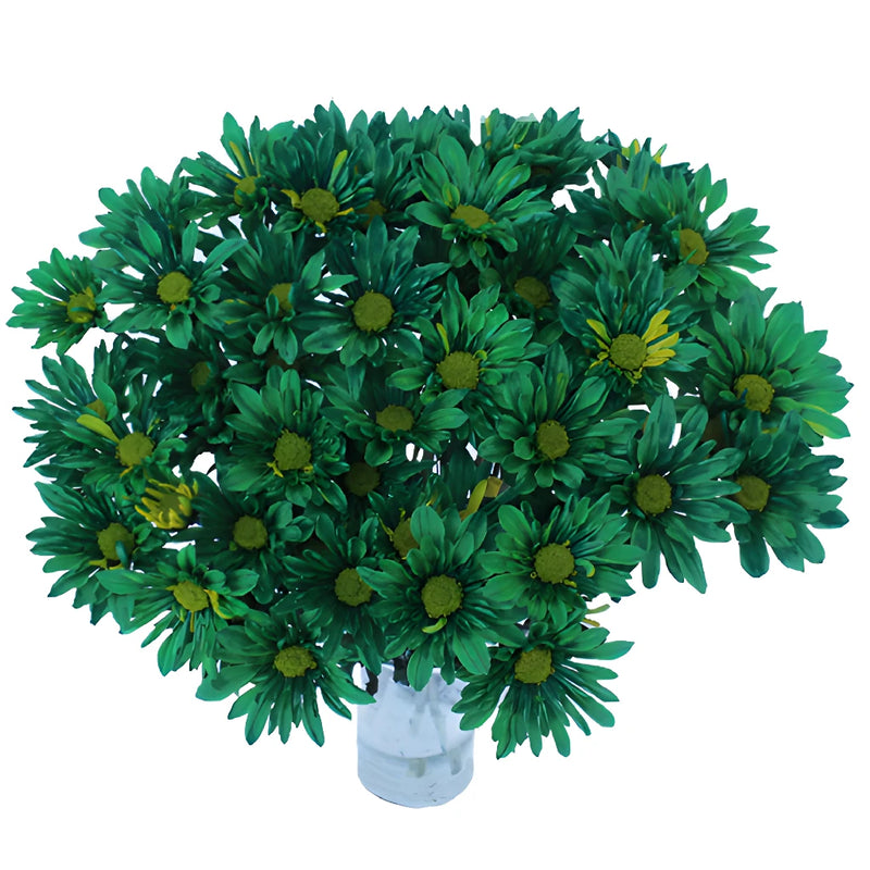 Enhanced Green Daisy Flower