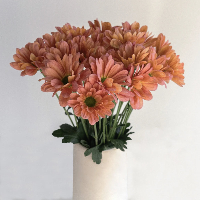 Daisy Tequila Sunrise Vase - Image