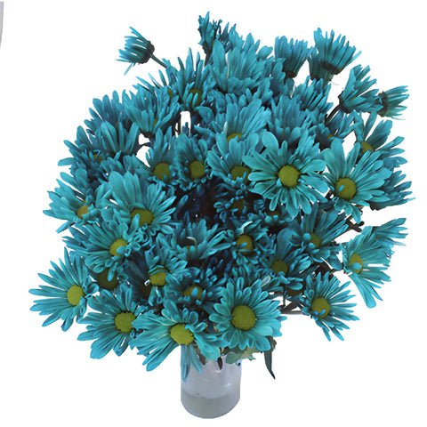 Turquoise Blue Daisy Flower Enhanced