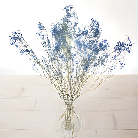 Dark Blue Dried Baby's Breath Flower