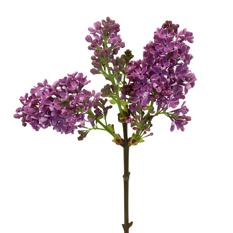 Lilac Flower for spring wedding