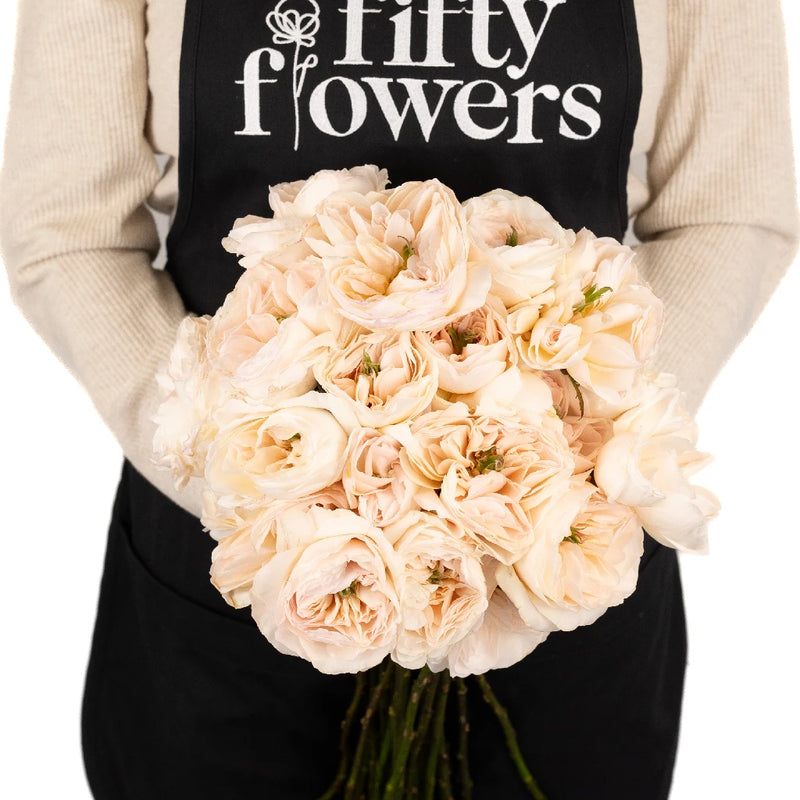 David Austin Charity Garden Rose Apron - Image