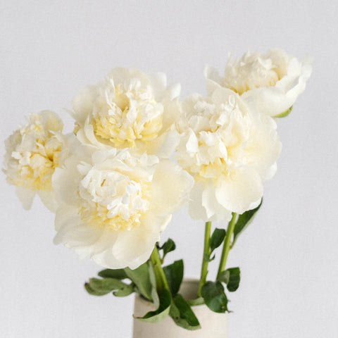 Duchess Peony Vase - Image