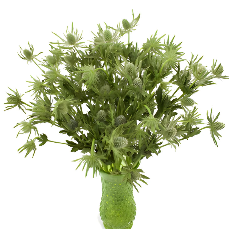 Sage Green Thistle Flowers