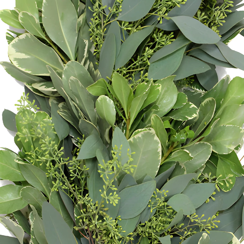 Seeded Eucalyptus and Variegated Pittosporum Garland Up Close