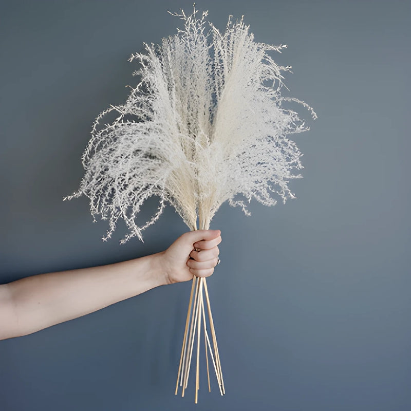Light Blue Dried Eulalia Grass