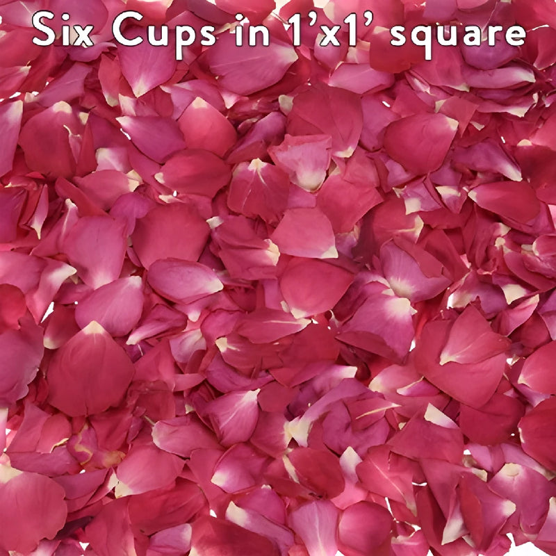Bulk Dried Pink Rose Petals