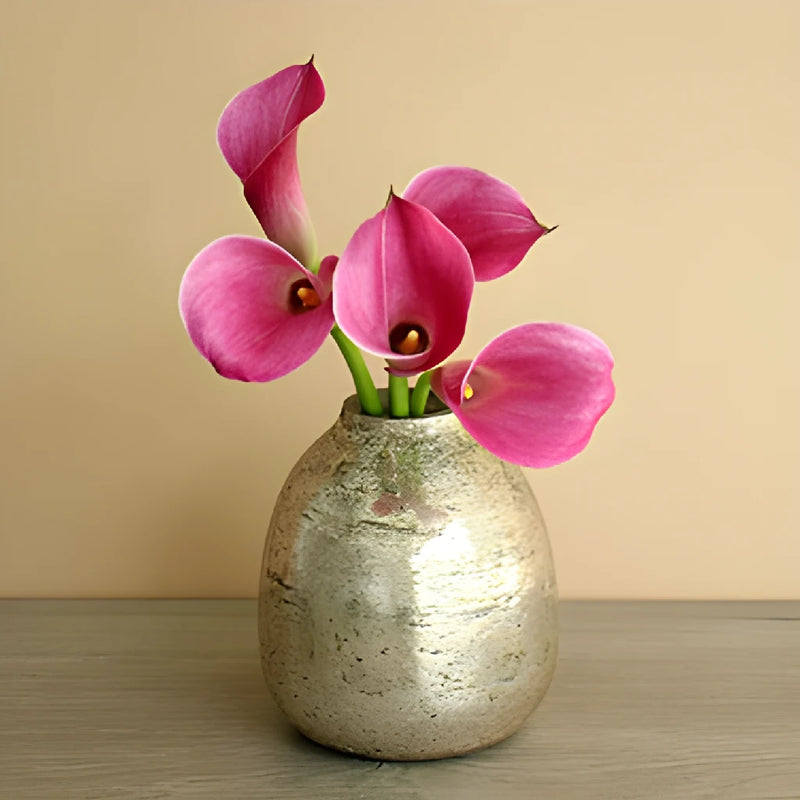 Pink Persuasion Calla Lily Flower