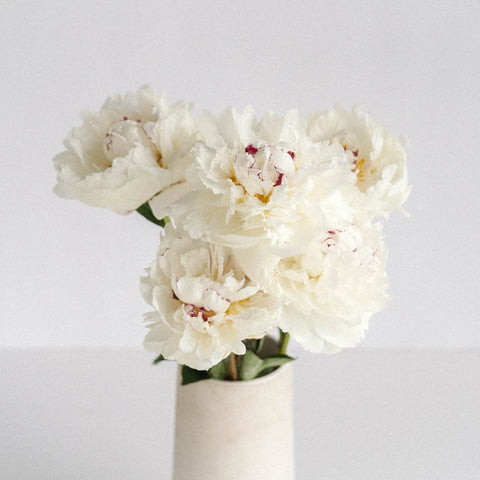 Festiva Maxima Vase - Image