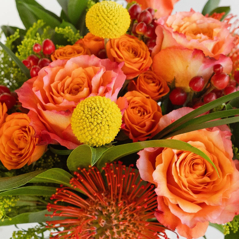 Festive Citrus Diy Flower Kit Close Up - Image