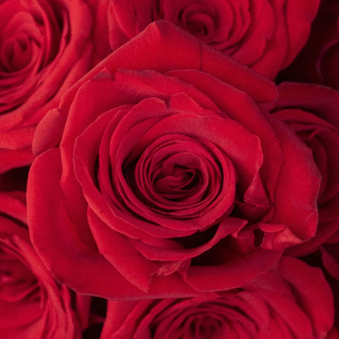 Puff Valentines Red Bouquet